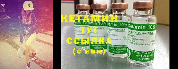 гидропоника Гусиноозёрск