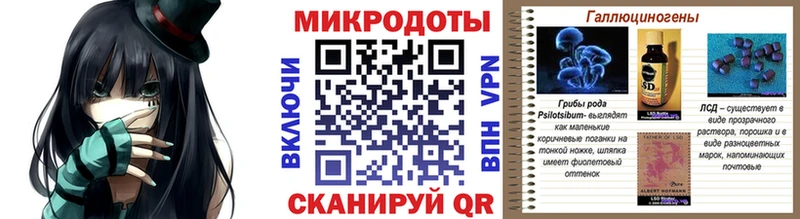 Псилоцибиновые грибы Cubensis Купить Рассказово